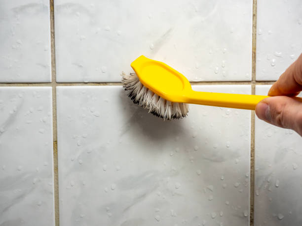 Best Mold Testing  in Linwood, PA