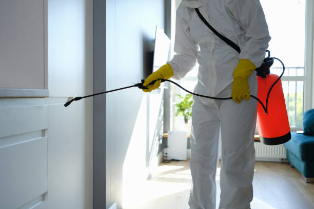 Home Mold Removal in Linwood, PA
