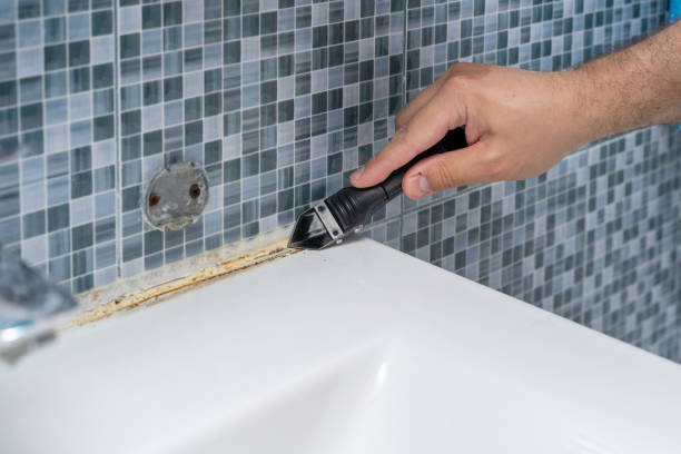 Certified Mold Removal in Linwood, PA